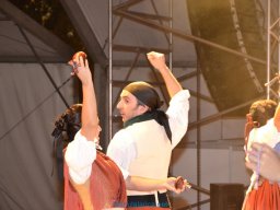 Festival de Folkore en Mula